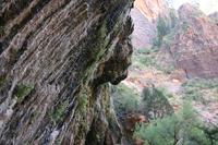 Zion Pictures