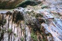 Zion Pictures