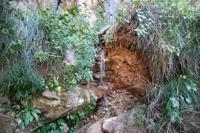 Zion Pictures