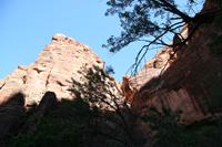 Zion Pictures