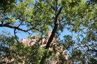 Zion Pictures