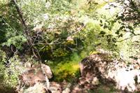 Zion Pictures