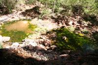 Zion Pictures