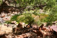 Zion Pictures