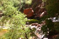 Zion Pictures