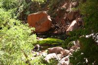 Zion Pictures