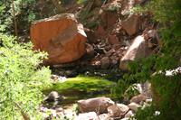 Zion Pictures