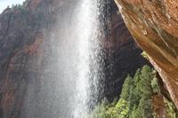 Zion Pictures