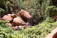 Zion Pictures