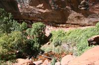 Zion Pictures