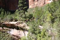 Zion Pictures
