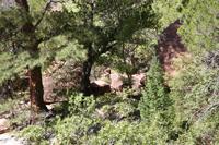 Zion Pictures