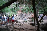 Zion Pictures