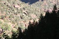 Zion Pictures