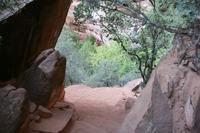 Zion Pictures