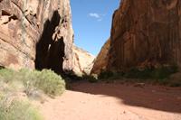 CapitolReef Pictures