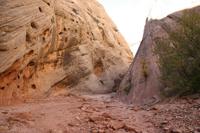 CapitolReef Pictures