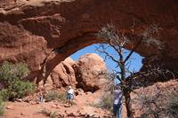 Arches Pictures