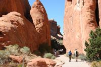 Arches Pictures