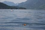 Lake Harrison