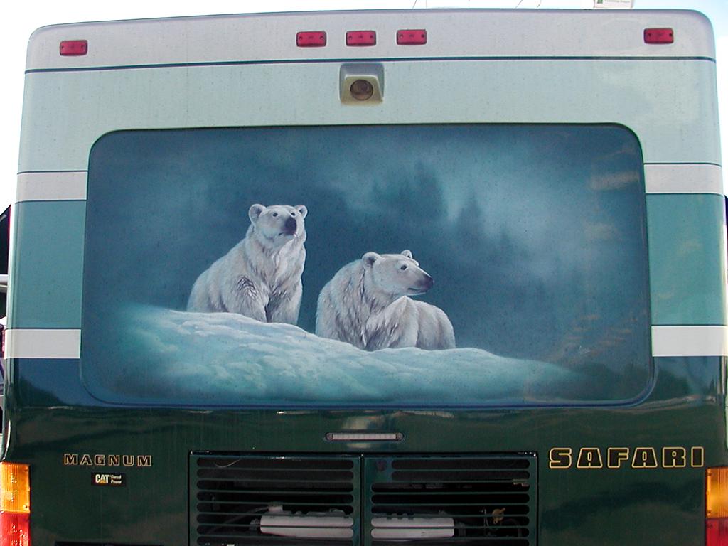 Bear Mural