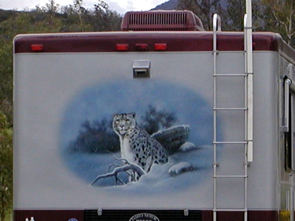 Leopard Mural