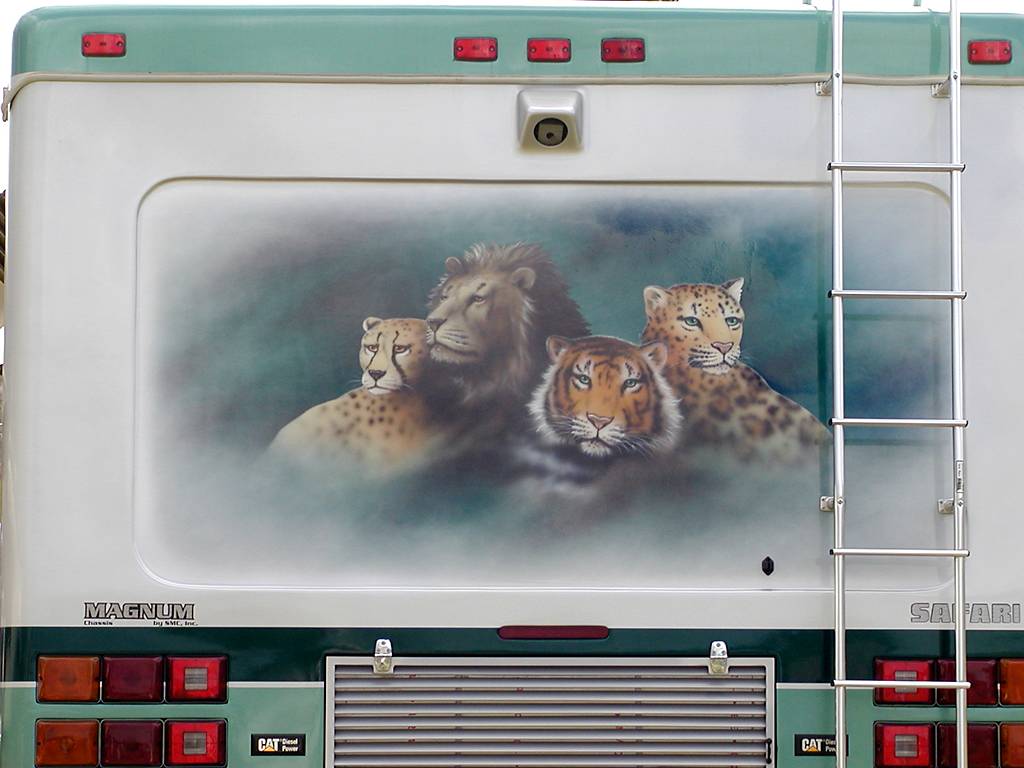 Wild_Cat Mural