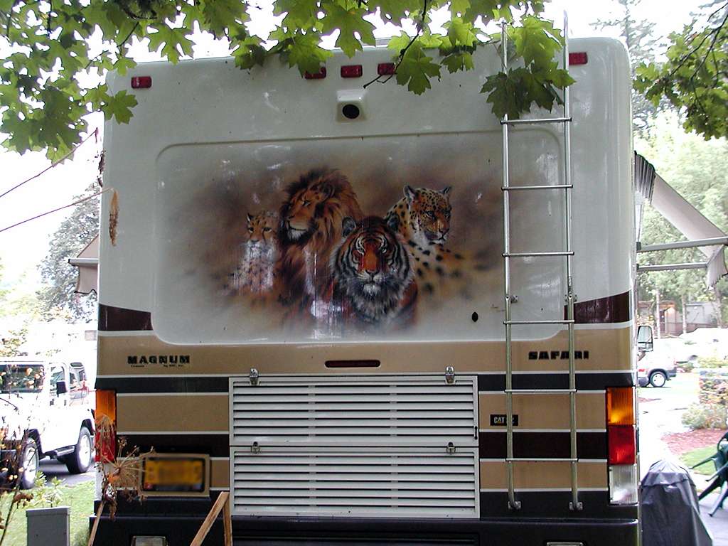 Wild_Cat Mural