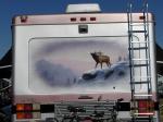 Wild Animal Mural