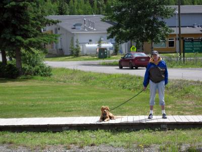 Going for a walk on the boardwalk in Carmacks