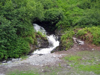 The bottom of Salmonberry Falls