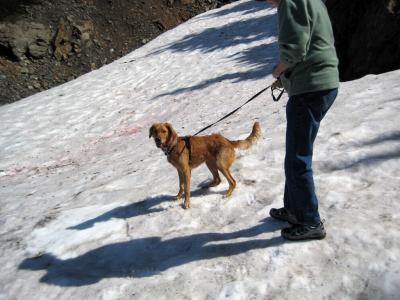 Nikki and Joy on snow north of Hyder