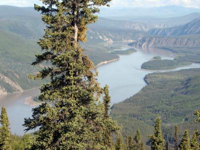 The Yukon downstream (north) from Dawson