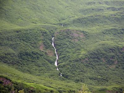 Salmonberry Falls