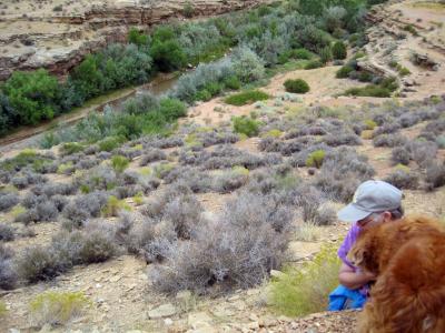 Geocaching around Virgin, Utah