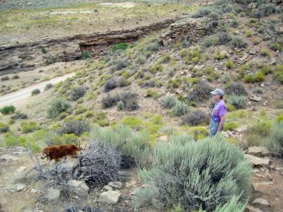 Geocaching around Virgin, Utah