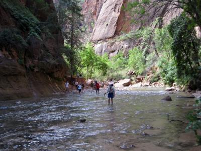 Hiking in the Zion Narrows