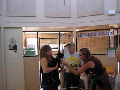 Inside one of the dog rooms at Best Friends Animal Sanctuary