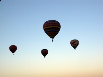 Albuquerque Balloon Fiesta 2010