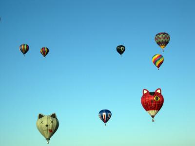 Albuquerque Balloon Fiesta 2010