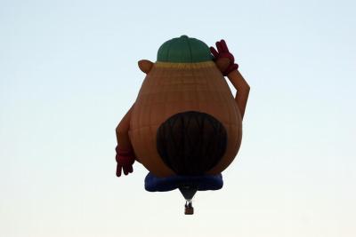 Albuquerque Balloon Fiesta 2010