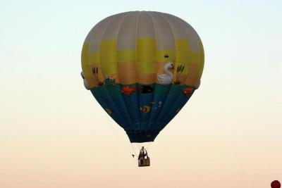 Albuquerque Balloon Fiesta 2010