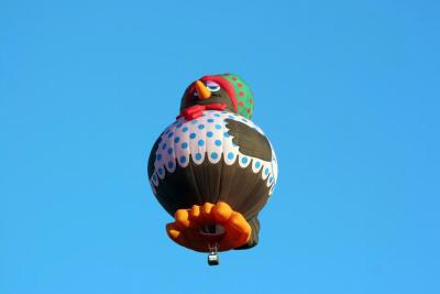 Albuquerque Balloon Fiesta 2010