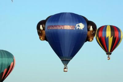 Albuquerque Balloon Fiesta 2010