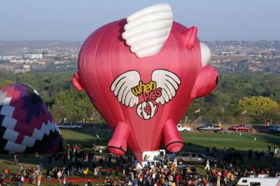 Albuquerque Balloon Fiesta 2010