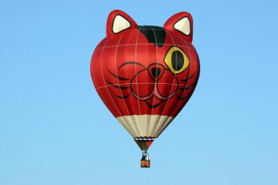 Albuquerque Balloon Fiesta 2010