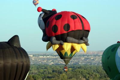 Albuquerque Balloon Fiesta 2010