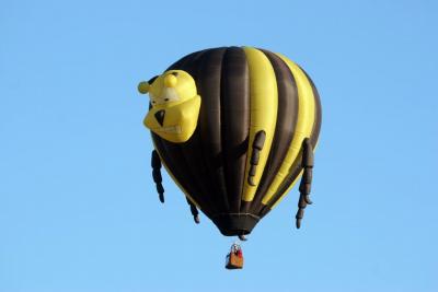 Albuquerque Balloon Fiesta 2010