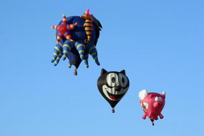 Albuquerque Balloon Fiesta 2010