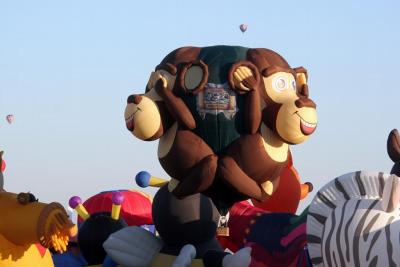 Albuquerque Balloon Fiesta 2010